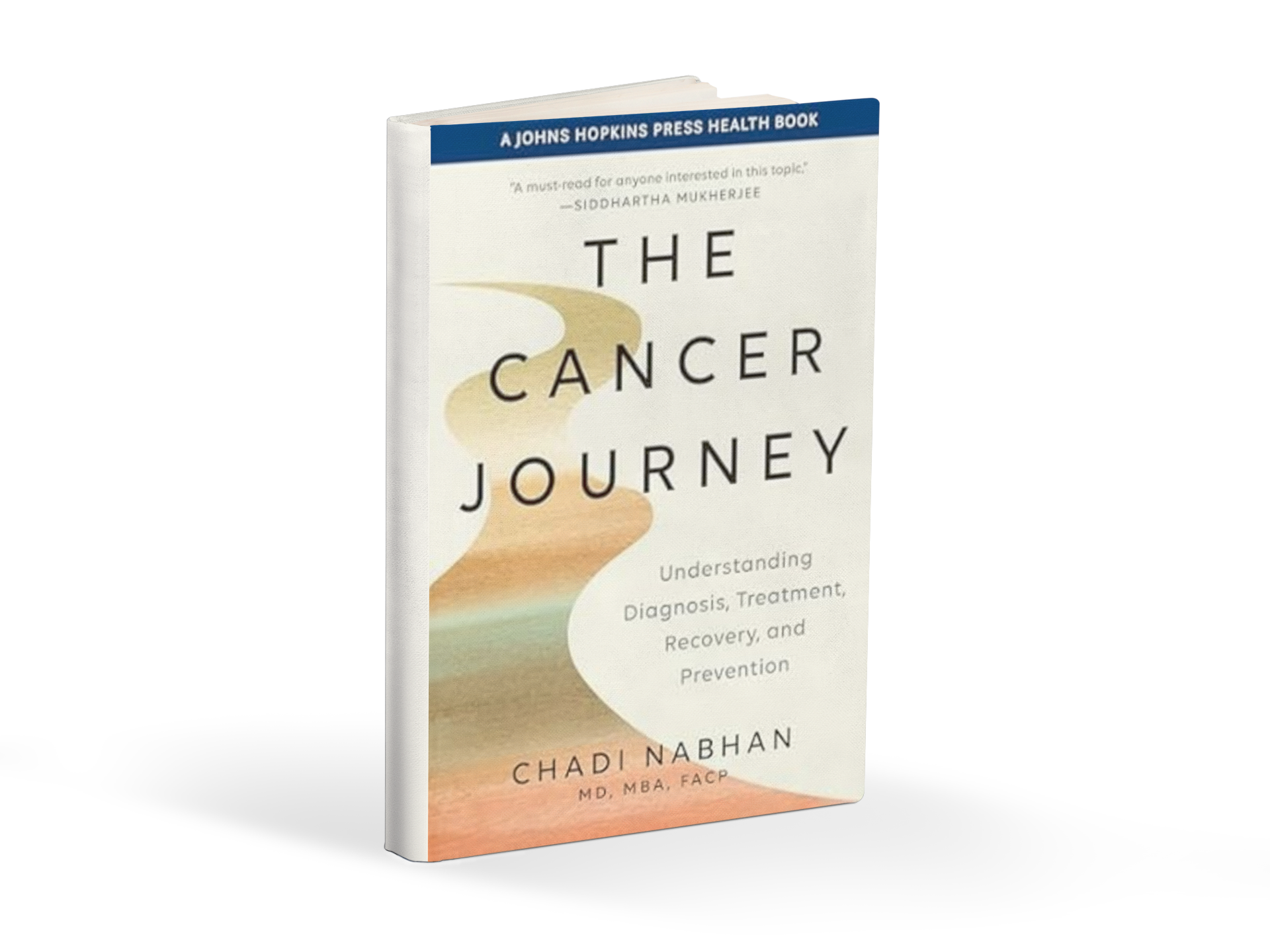 the cancer journey